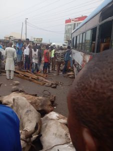 truck with cows runs into brt